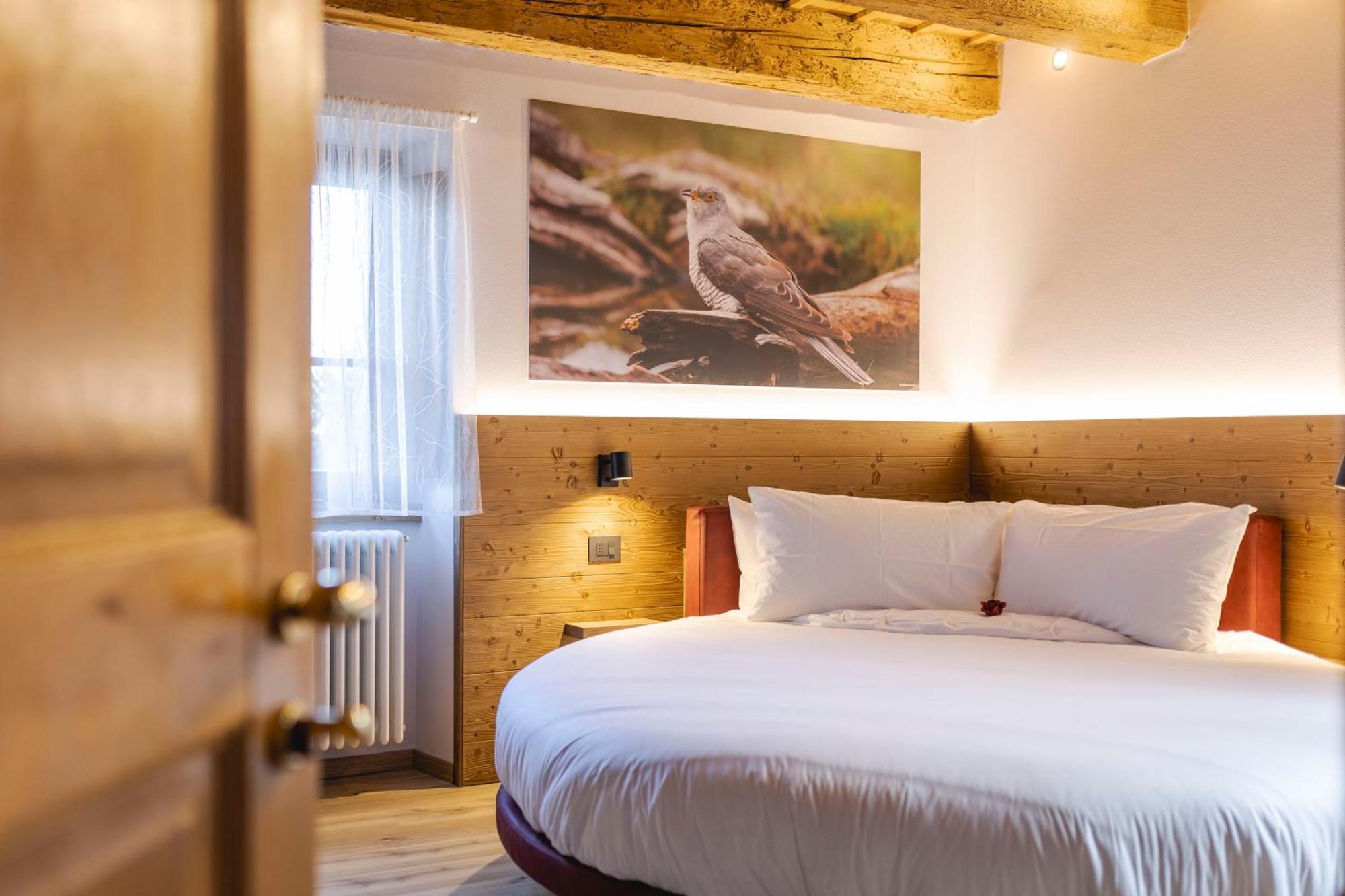 Granduca Mountain Wellness Apartments Campigna Exterior photo